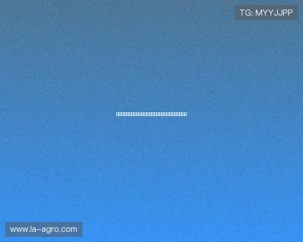 九游百家乐多平台互通支持，让你随时随地畅玩精彩百家乐游戏