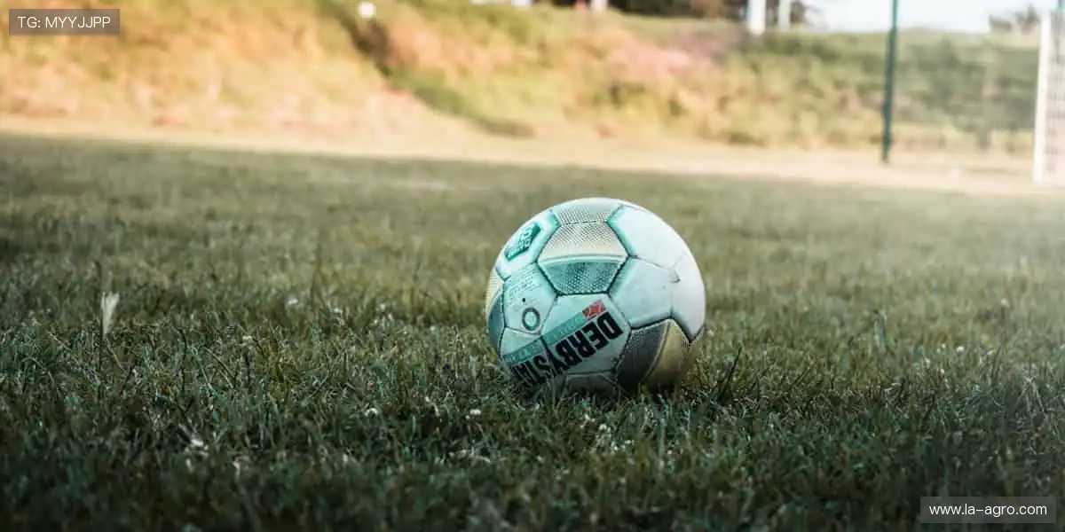 VIA真人视讯博彩:独家技术高清传输,零延迟下注更精准